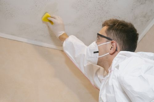 mildew removal hayward ca-hayward-california
