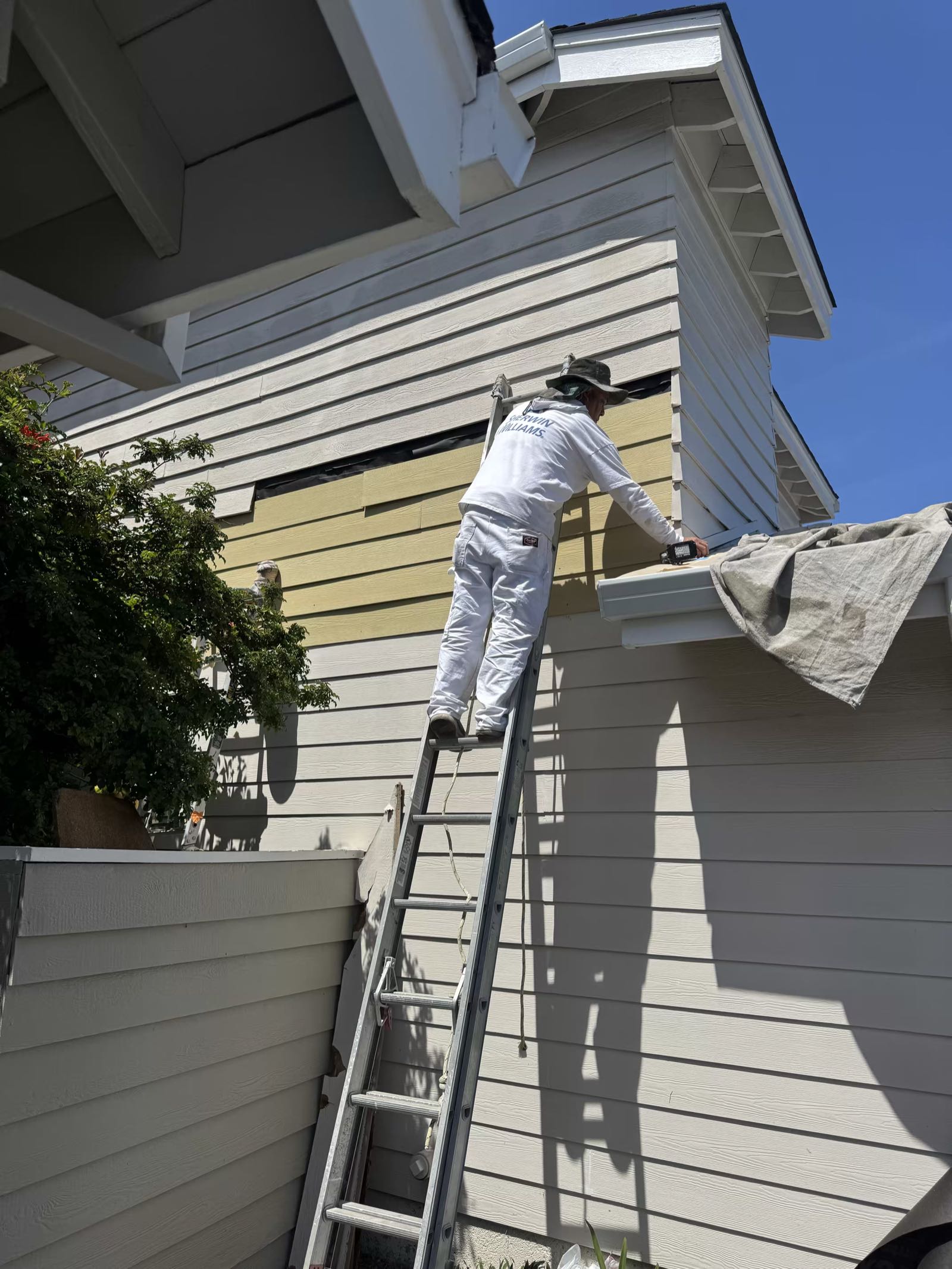 painter ladder craftsman trim siding work exterior painting painter in hayward california